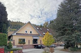 Anlageobjekt in 69151 Neckargemünd, Attraktive Kapitalanlage in Neckargemünd: Wohn- und Geschäftshaus in Toplage