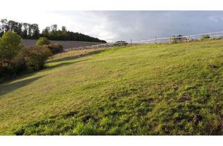 Grundstück zu kaufen in 34439 Willebadessen, Attraktives Baugrundstück mit vielseitigem Nutzungspotenzial – Wohnen im Grünen in Willebadessen-Fö