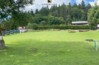 Grundstück zu kaufen in 78564 Wehingen, Wohnen in bester Naturlage – Erholung direkt vor der Haustür