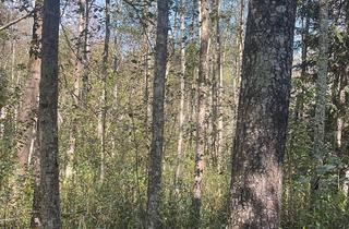 Grundstück zu kaufen in 83043 Bad Aibling, Landwirtschaftsfläche, Waldfläche nähe Bad Aibling