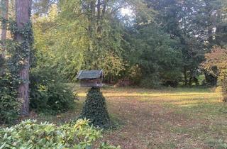 Grundstück zu kaufen in 16775 Löwenberger Land, Hier kann Ihr Traum vom Eigenheim wahr werden