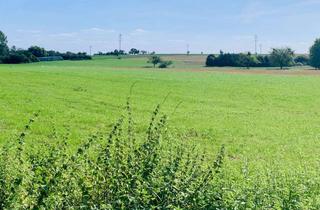 Gewerbeimmobilie kaufen in 39104 Altstadt, Grundstück mit Sporthalle in Toplage - auch für Neubauprojekt