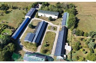 Gewerbeimmobilie kaufen in 15848 Friedland, Gewerbehof mit Entwicklungspotential inkl. PV-Anlagen