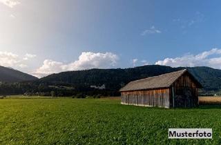 Lager kaufen in 88605 Meßkirch, Ab in die Natur: 2 Stallgebäude mit Zwischenbau - provisionsfrei