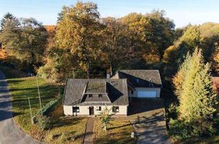 Einfamilienhaus kaufen in 31600 Uchte, Uchte - Landidylle trifft Raumwunder: Ein Haus, tausend Optionen
