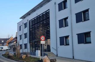 Wohnung kaufen in 79353 Bahlingen, Exklusive 4-Zimmer-Attikawohnung mit traumhafter Aussicht in Bahlingen
