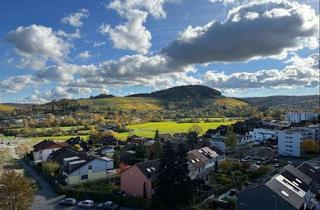 Wohnung kaufen in 71364 Winnenden, WI-Schelmenholz: 4-Zimmer-Wohnung mit Traumaussicht vom 8.Stock!