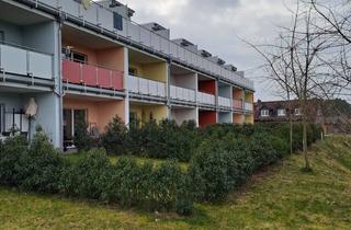 Wohnung mieten in 38524 Sassenburg, Geschmackvolles, 2-Zimmer-Apartment im Dachgeschoss