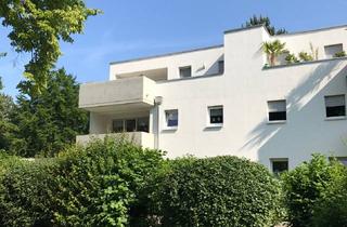 Wohnung mieten in Heinrich- Heine- Str. 15, 67574 Osthofen, Moderne Zweiraumwohnung mit großer Dachterrasse