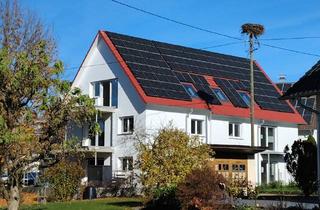 Wohnung mieten in 88422 Oggelshausen, NÄHE BAD BUCHAU! Neue 3,5 Zimmer EG-Wohnung mit EBK, Terrasse & Außenstellplatz zu vermieten!