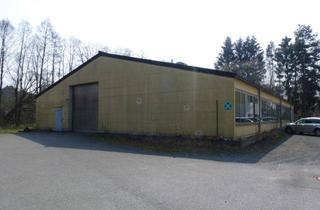 Geschäftslokal mieten in 95032 Hof, Ab sofort zu vermieten: Freistehendes Nebengebäude/Werkhalle (ca. 600 m²) mit Rolltor in Hof-Moschendorf