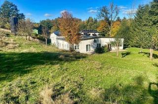 Haus kaufen in 08491 Netzschkau, Anwesen mit vielen Möglichkeiten !