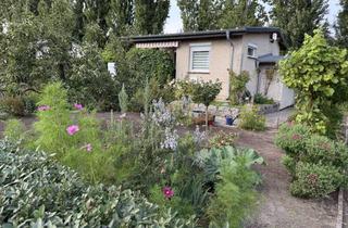 Haus mieten in Weidenweg 7-13, 14542 Werder (Havel), Erholungsgarten P15 mit Bungalow Nähe Glindowsee (Werder-Havel)