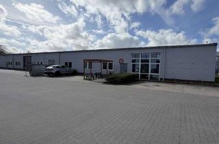 Büro zu mieten in 26655 Westerstede, Gewerbehalle (teilbar) mit Büroflächen und Schulungsraum in Westerstede zu vermieten