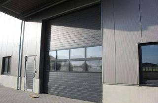 Gewerbeimmobilie mieten in 48612 Horstmar, Attraktive Gewerbehalle zur Vermietung – Vielseitig nutzbar!