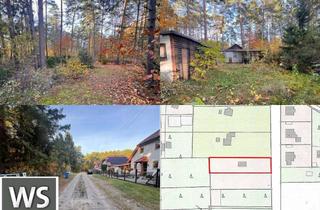 Grundstück zu kaufen in Arndtstr xx, 14822 Borkwalde, 1.259 m² Baugrundstück in Borkwalde - eingezäunt und erschlossen!