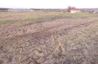 Grundstück zu kaufen in 85283 Wolnzach, Wolnzach, landwirtschaftliches Grundstück zischen Wolnzach und Eschelbach