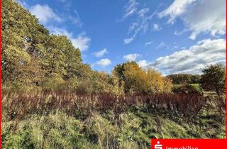 Grundstück zu kaufen in 21386 Betzendorf, Luft zum Atmen!