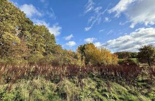 Grundstück zu kaufen in 21386 Betzendorf, Luft zum Atmen!
