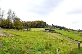 Grundstück zu kaufen in 79215 Elzach, Baugrundstück – idyllische Lage mit vielseitigem Potenzial für Familien und Investoren