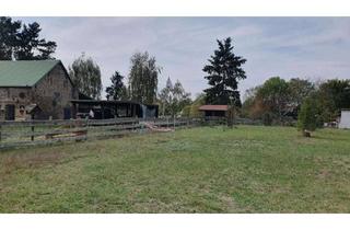 Grundstück zu kaufen in 14532 Stahnsdorf, Baugrundstück für Ihr Traumhaus im ruhigen Ortsteil Sputendorf