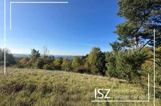 Grundstück zu kaufen in 95466 Weidenberg, FEIERN...GRILLEN...RELAXEN...Freizeitgrundstück mit Gartenhaus + Garage