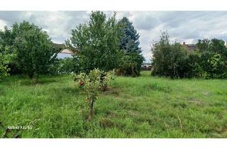 Grundstück zu kaufen in 04610 Meuselwitz, Grundstück (teilbar) in ruhiger Siedlungslage