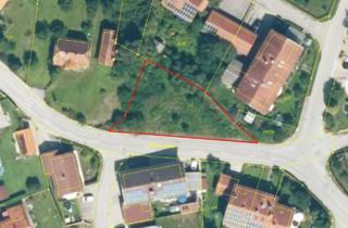 Grundstück zu kaufen in 83342 Tacherting, Startklar für Ihr Bauvorhaben – erschlossenes Grundstück in Tacherting