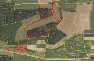 Grundstück zu kaufen in 96142 Hollfeld, LW/FW-Grundstücke in Hollfeld - 6 Flurstücke mit knapp 5 Hektar im Paket