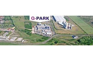 Büro zu mieten in 06766 Bitterfeld-Wolfen, Moderne Bürofläche im Q-Park Thalheim – Ideal für Kundendienst oder Callcenter