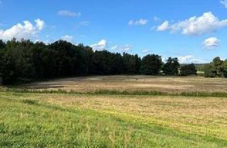 Gewerbeimmobilie kaufen in 19348 Perleberg, Wiesen bei Perleberg!