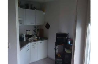 Wohnung mieten in Hauptstr 54 B Kirchzarten 54b, 79199 Kirchzarten, 500.0 € - 33.0 m² - 1.0 Zi.