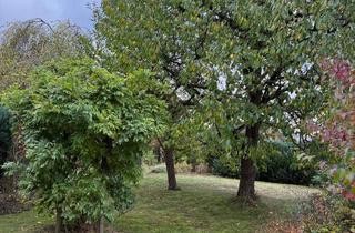 Wohnung mieten in Oesternforth 32, 33397 Rietberg, Ruhiger Garten in Rietberg