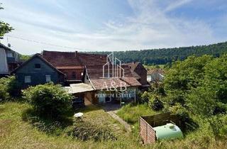 Haus kaufen in 67471 Elmstein, Ferienhaus oder 3 Familien auf einem Grundstück!