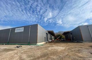 Büro zu mieten in 69469 Weinheim, Repräsentative Halle mit klimatisierten Büros (385 m2, Neubau in Holz) mit eigener 13 kWp PV-Anlage