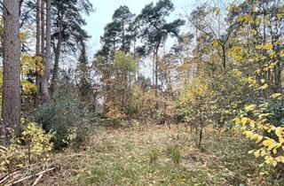 Grundstück zu kaufen in 38518 Gifhorn, VIEL PLATZ FÜR IHRE ZUKUNFT – BAUGRUNDSTÜCK IN GIFHORN MIT 1.301 M²