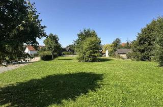 Grundstück zu kaufen in 34513 Waldeck, Herrenhaus mit weiteren Grundstücken zur Projektentwicklung