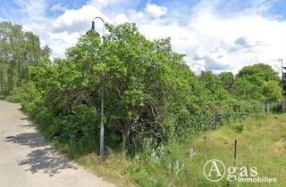 Immobilie kaufen in 15295 Groß Lindow, Bauträgerfreies ca. 1.000m² großes, gut geschnittenes Grundstück in Groß-Lindow