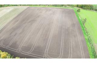 Immobilie kaufen in 48683 Ahaus, Landwirtschaftliche Fläche in Ahaus-Alstätte zu verkaufen!