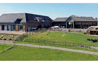 Haus kaufen in 41372 Niederkrüchten, Niederkrüchten - Provisionsfrei Exklusiver Vierkanthof Nähe Düsseldorf