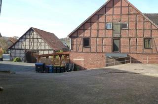 Haus kaufen in 37620 Halle, Halle - Großer Resthof mit 3 Wohnungen und 3 Nebengebäuden