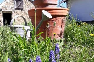 Bauernhaus kaufen in 14480 Potsdam, Potsdam - Haus am Balaton