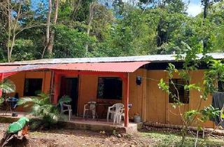 Haus kaufen in 25358 Horst, Horst (Holstein) - Haus, Grundstück in Costa Rica, Karibik