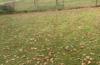 Wohnung kaufen in 90584 Allersberg, Allersberg - 5 Zimmer Wohnung am Rothsee mit großem Grundstück