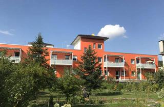 Wohnung mieten in Am Markt, 99759 Sollstedt, Barrierefreie 2-Zimmer-Wohnung mit großzügigem Balkon