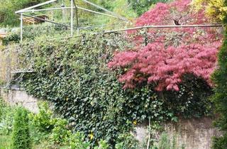 Wohnung mieten in Hauptstraße, 83308 Trostberg, Wunderschöne ruhige 3-Zimmer Wohnung mit Garten in Trostberg