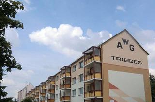 Wohnung mieten in Dr.-Wilhelm-Külz-Straße 21, 07950 Zeulenroda-Triebes, Die erste eigene Wohnung - 1-Raum-Wohnung mit Blick ins Grüne