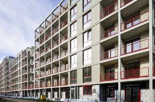 Sozialwohnungen mieten in Sewanstraße 256 A, 10319 Friedrichsfelde, 2-Zimmer-Wohnungen mit WBS bis 140 - ideal für Singles oder Paare