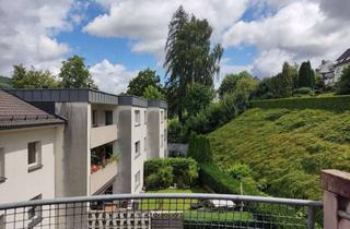 Wohnung mieten in An Den Baumgärten, 59872 Meschede, Dachgeschosswohnung mit 2 Balkonen in Meschede