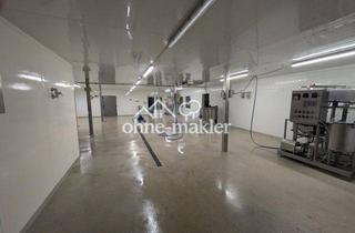 Geschäftslokal mieten in Am Mühlenbach 5, 21255 Dohren, Lager / Lagerraum / Lagerhalle